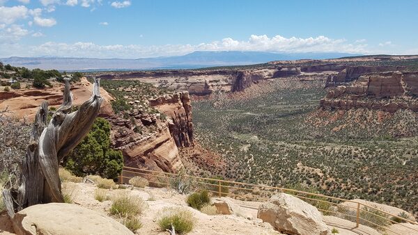  Old Spanish Trail Part II 2024 Photo